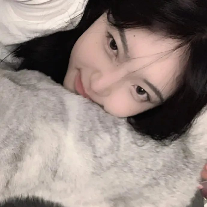 谈话头 在线观看